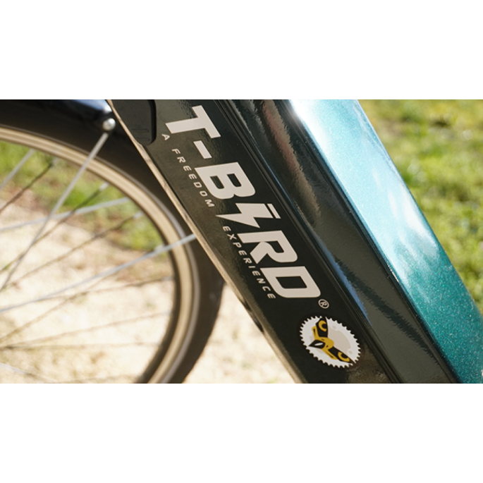 VTC électrique tbird Carmel s femme| Velonline