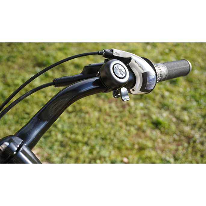 VTC électrique tbird Carmel s femme| Velonline