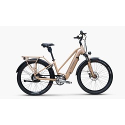 Vélo électrique Starway SUV