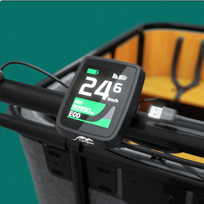 Velo cargo CANGOO BUCKLE UP