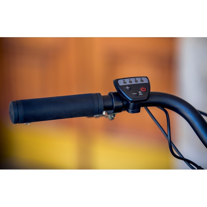 Tricycle Monty 24" NUKE 24 / velonline