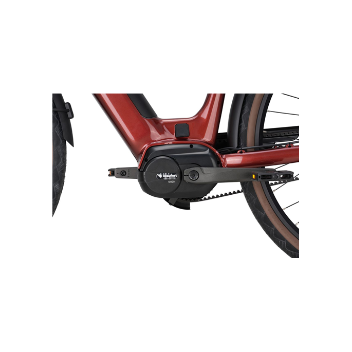 VTC électrique Beaufort Bay  | Velonline