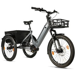 Tricycle électrique adulte Leaderfox Pytes