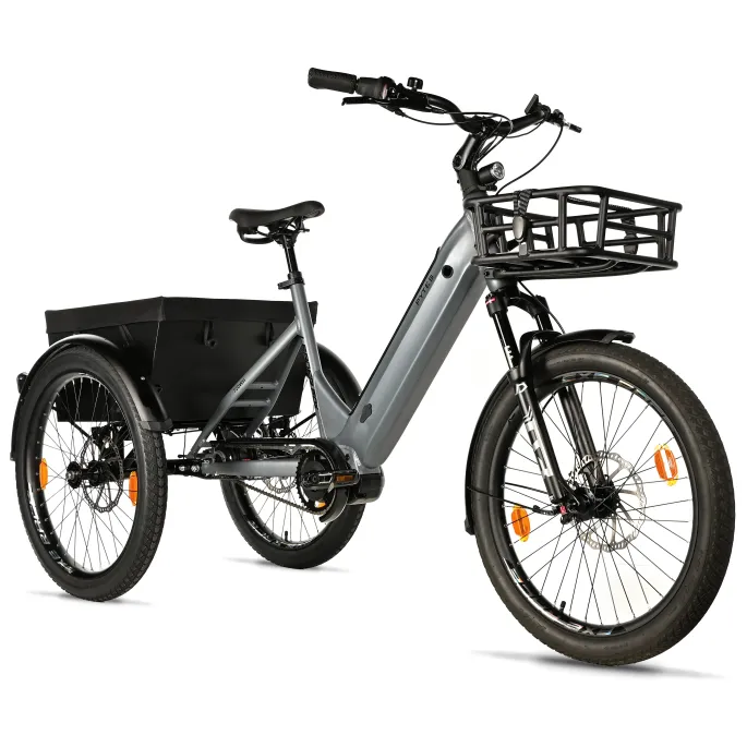 Tricycle électrique adulte Leaderfox Pytes