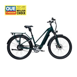Vélo électrique Starway SUV