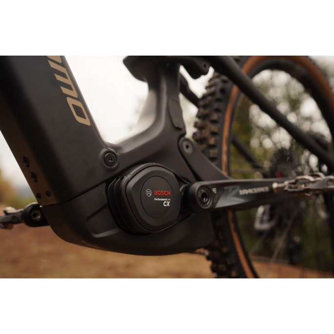 Megamo Flame CRB 03  2026