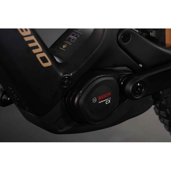 Megamo Flame CRB 01  2026