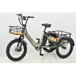 tricycle Electrique adulte Mover T1 - Revom