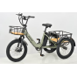 tricycle Electrique adulte Mover T1 - Revom