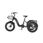 tricycle Electrique adulte Mover T2 - Revom