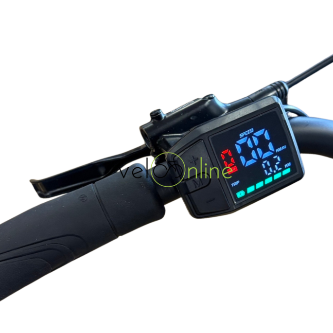 Lombardo Aurelia| Velonline