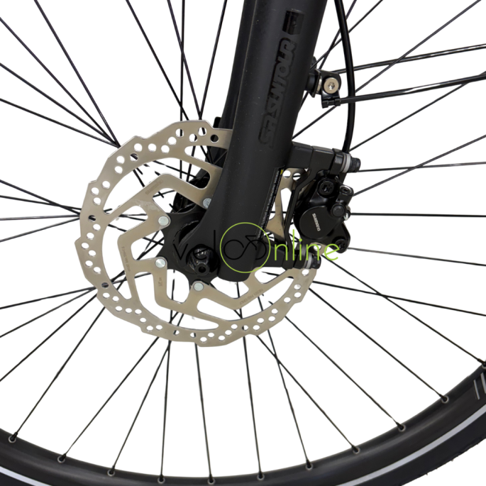 Vélo électrique evision flux| Velonline