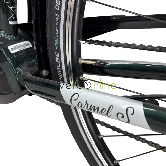 VTC électrique tbird Carmel s femme| Velonline