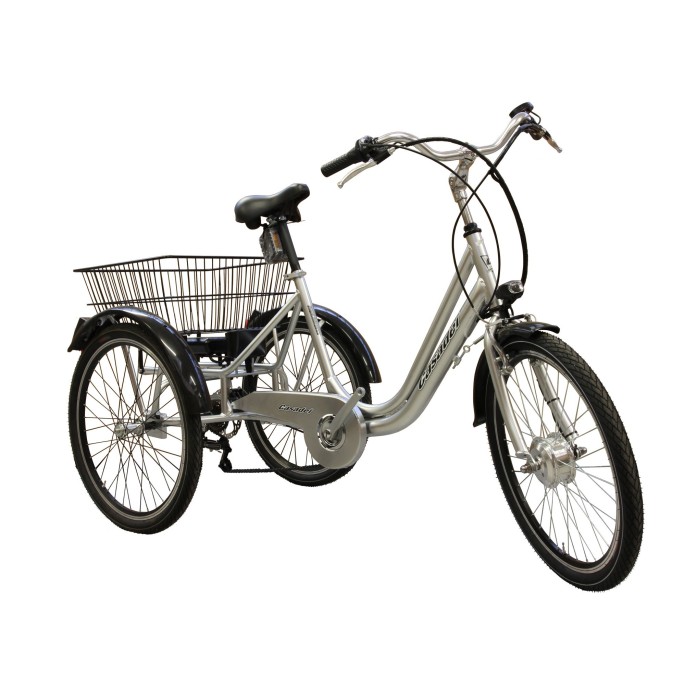 Tricycle électrique Casadei 20'' - Velonline