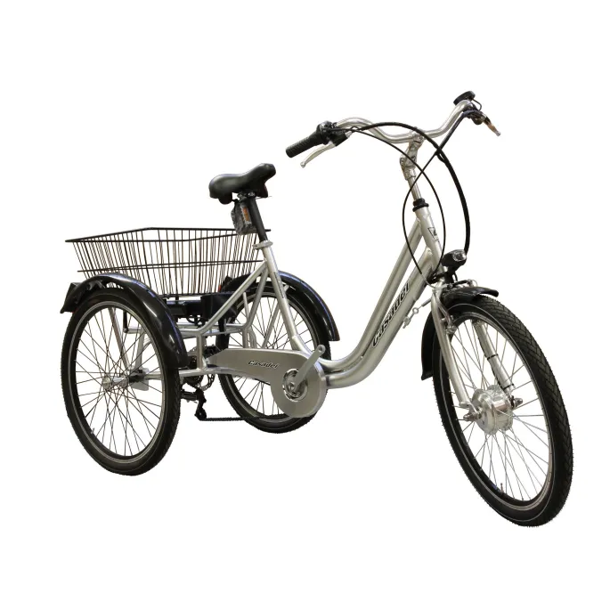 Tricycle électrique Casadei 20'' - Velonline