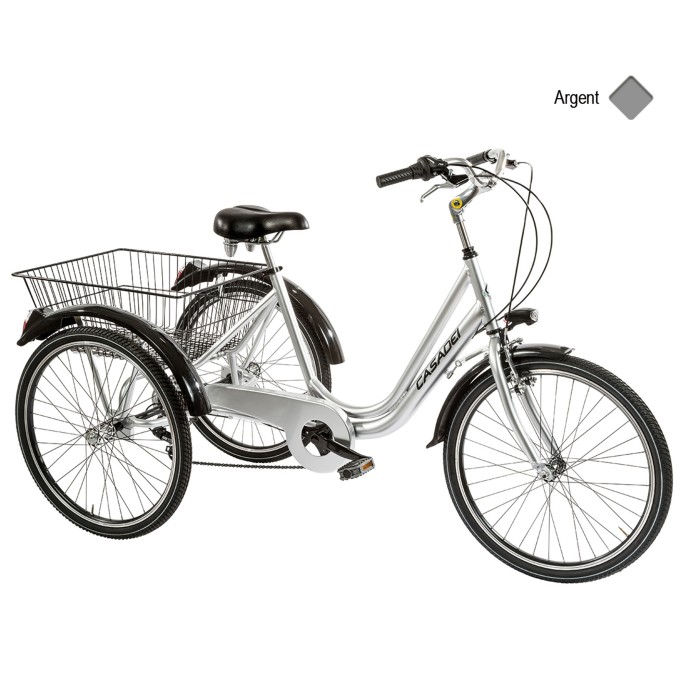 Vélo Tricycle Casadei 20 pouces - Velonline
