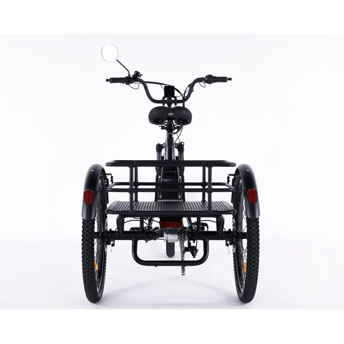 Damius Essentiel - Tricycle électrique adulte | Velonline