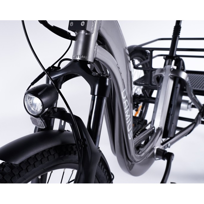 Damius Essentiel - Tricycle électrique adulte | Velonline