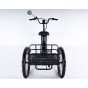 Damius Essentiel - Tricycle électrique adulte | Velonline