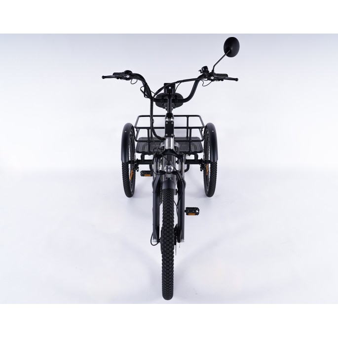 Damius Essentiel - Tricycle électrique adulte | Velonline