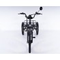 Damius Essentiel - Tricycle électrique adulte | Velonline