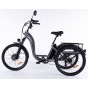 Damius Essentiel - Tricycle électrique adulte | Velonline