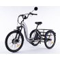 Damius Essentiel - Tricycle électrique adulte | Velonline