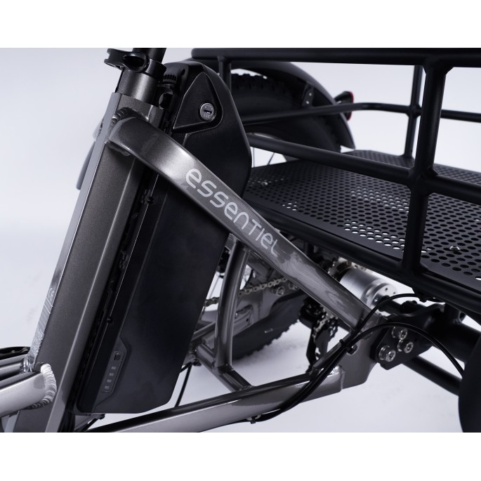 Damius Essentiel FatBike - Tricycle électrique | Velonline