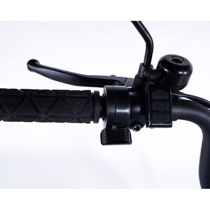 Damius Essentiel FatBike - Tricycle électrique | Velonline