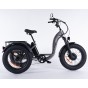 Damius Essentiel FatBike - Tricycle électrique | Velonline