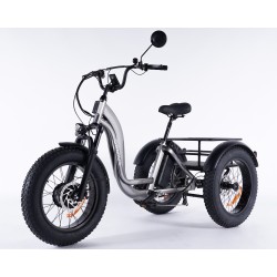 Damius Essentiel FatBike - Tricycle électrique | Velonline