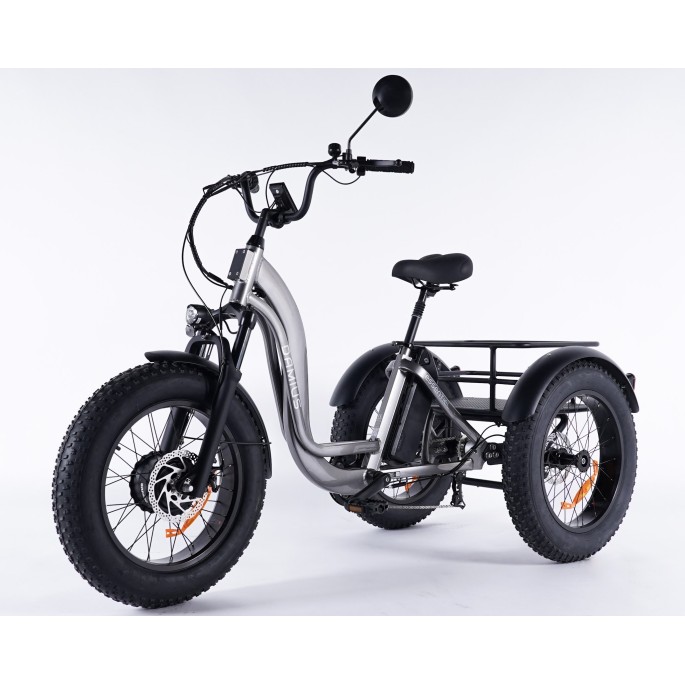 Damius Essentiel FatBike - Tricycle électrique | Velonline
