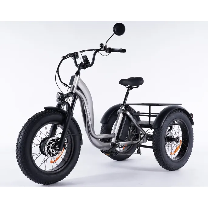 Damius Essentiel FatBike - Tricycle électrique | Velonline