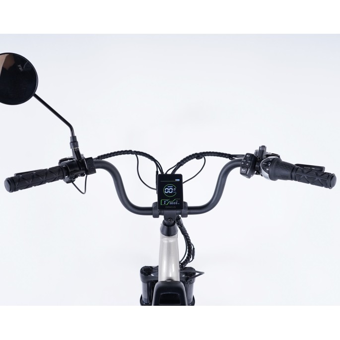 Damius Evasion - Tricycle électrique adulte | Velonline