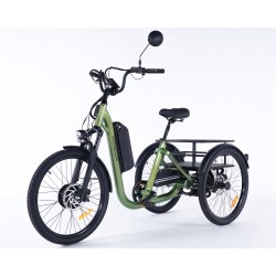 Damius Evasion - Tricycle électrique adulte | Velonline