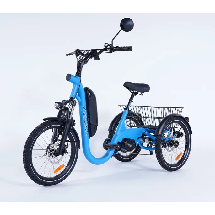 Damius Evasion Moteur Pédalier - Tricycle électrique | Velonline
