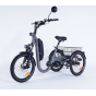 Damius Evasion Moteur Pédalier - Tricycle électrique | Velonline