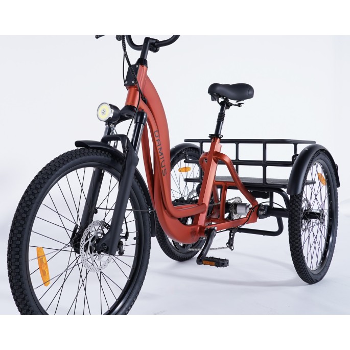 Damius Essentiel Musculaire - Tricycle adulte | Velonline
