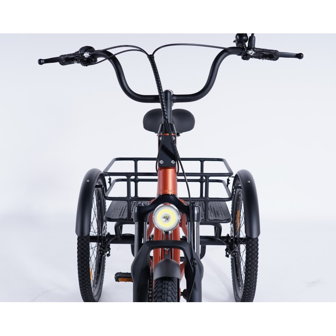 Damius Essentiel Musculaire - Tricycle adulte | Velonline