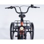 Damius Essentiel Musculaire - Tricycle adulte | Velonline