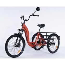 Damius Essentiel Musculaire - Tricycle adulte | Velonline