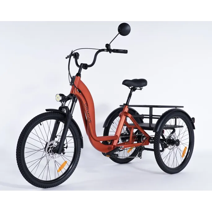 Damius Essentiel Musculaire - Tricycle adulte | Velonline