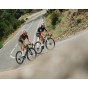Vélo de route Megamo Pulse 15 CW 2027| Velonline