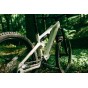 BH iLYNX+ DL TRAIL 8.1 Avinox 2027 | Velonline