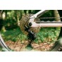 BH iLYNX+ DL TRAIL 8.1 Avinox 2027 | Velonline