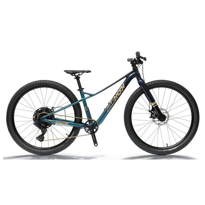 BeMoov T26 - VTT enfant 26 pouces | Velonline