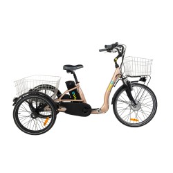 Tricycle électrique adulte Cyclo2 Confort 24 - Velonline